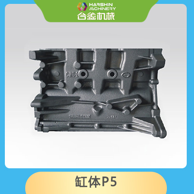 缸體P5